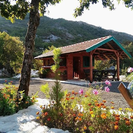 Camp Oaza,Lipa Hotel Cetinje Exterior foto