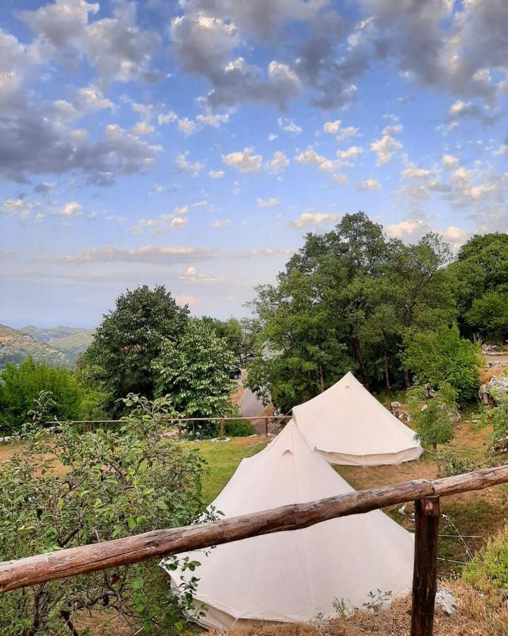 Camp Oaza,Lipa Hotel Cetinje Exterior foto