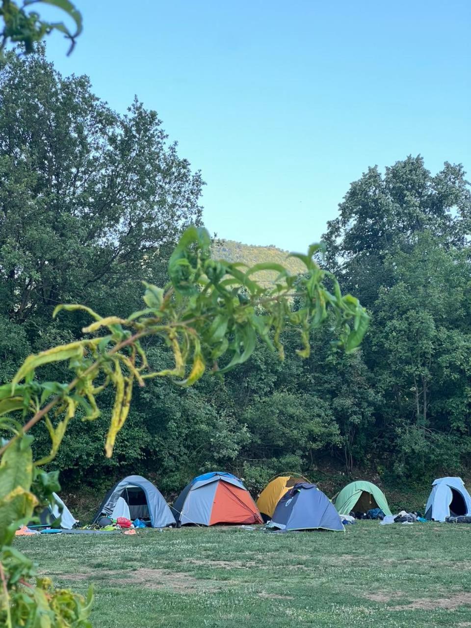 Camp Oaza,Lipa Hotel Cetinje Quarto foto